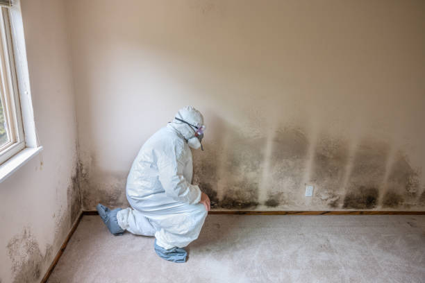 Best Mold Testing  in Wurtsboro, NY