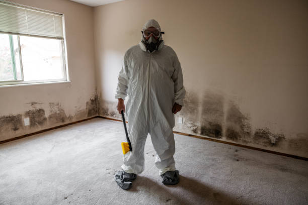 Best Commercial Mold Removal  in Wurtsboro, NY